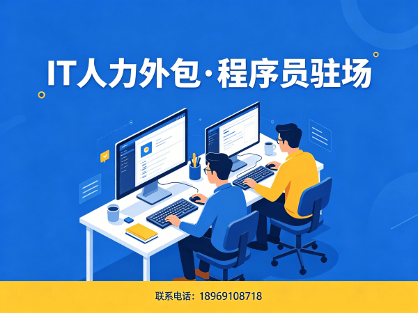 无锡项目经理程序员或是工程师人力外包技术支持解决方案
