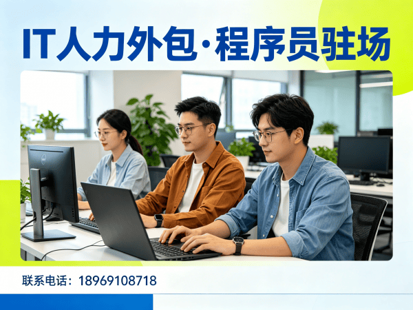合肥Python开发程序员驻场办公要求详解 | 专业IT人力外包服务