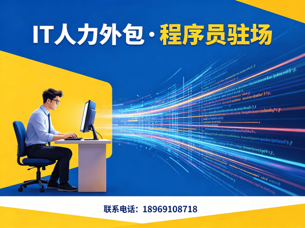天津IT人力外包解决方案：Python开发程序员驻场开发服务