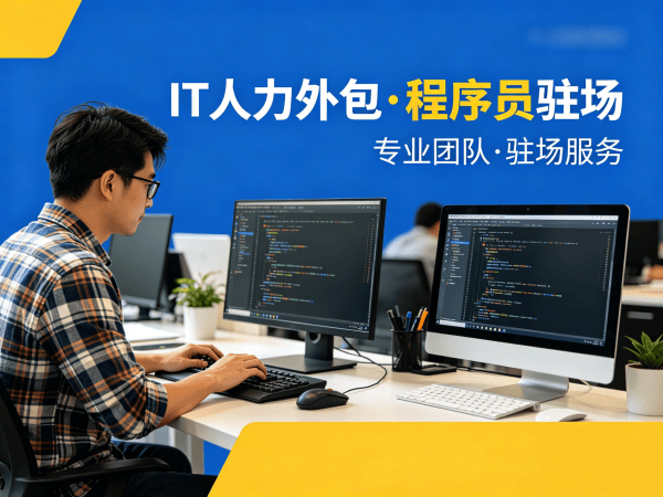 东莞.NET开发程序员人力外包解决方案 高效解决企业技术人才短缺难题