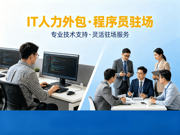 天津IT人力外包解决方案：小程序开发程序员驻场服务，解决企业技术人才难题